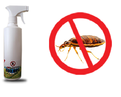 Bed bug Killer